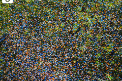 Confetti flies through the air to honor essential workers during the Hometown Heroes Ticker-tape Parade along the Canyon of Heroes on July 7, 2021 in New York. The parade included a variety of different floats, representing the groups of essential workers who served this city heroically throughout the pandemic.