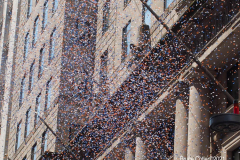 Salute to the HomeTown Heroes Ticker-Tape Parade to honor essential workers. The parade started in Battery Park and made its way up  Broadway (Canyon of Heroes) to City Hall  where NYC Mayor Bill de Blasio greeted them. The City Hall ceremony was modified because of the extreme heat today. The parade  featured 10 bands and 14 specialty vehicles. 
 The floats  departed in the following order, beginning with  
1.     Hospital Workers
2.     Healthcare Workers
3.     Education & Childcare
4.     First Responders
5.     Community Care
6.     City Workers
7.     Advocacy Organizations
8.     Transportation
9.     Hospitality & Building Care
10.  Emergency Food
11.  Communication & Delivery
12.  Small Businesses & Bodega
13.  Utilities
14.  Reinforcements