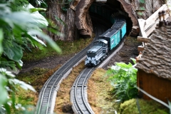 NYBG Holiday Train Show Jan 2021