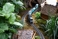 NYBG Holiday Train Show Jan 2021