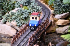 NYBG Holiday Train Show Jan 2021