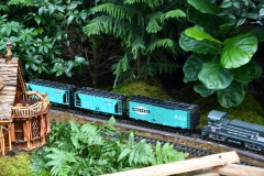 NYBG Holiday Train Show Jan 2021