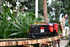 NYBG Holiday Train Show Jan 2021