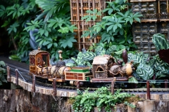 NYBG Holiday Train Show Jan 2021