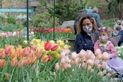 3-year-old Violet and her mother attend the West Side Community Garden's 2021 Tulip Festival on West 89th Street in Manhattan NY on April 18, 2021. The annual festival features close to 100 varieties of tulips of all shapes and sizes in full bloom inside the garden on the upper west side of Manhattan. (Photo by Andrew Schwartz)
