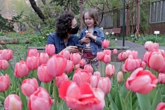 Children and adults attends the West Side Community Garden's 2021 Tulip Festival on West 89th Street in Manhattan NY on April 18, 2021. The annual festival features close to 100 varieties of tulips of all shapes and sizes in full bloom inside the garden on the upper west side of Manhattan. (Photo by Andrew Schwartz)