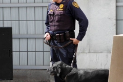 April 19, 2022  United Nations
United Nations Secretary General Antonio Guterres holds a press encounter in front of the peace sculpture on the United Nation grounds. He asking for an Orthodox Holy Week humanitarian pause to the war in the Ukraine.
