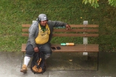 Daily life on view outside my window.