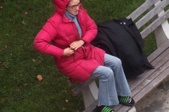 Daily life on view outside my window.