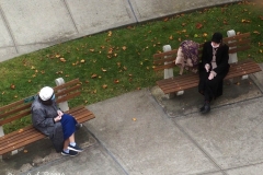 Daily life on view outside my window.