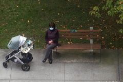 Daily life on view outside my window.