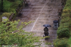 Daily life on view outside my window.