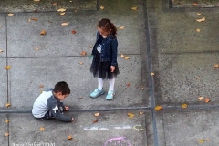 Daily life on view outside my window.