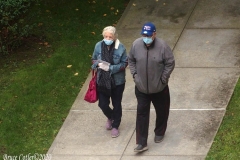 Daily life on view outside my window.