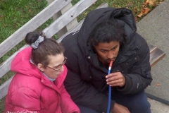 Daily life on view outside my window.