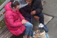 Daily life on view outside my window.