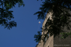 Balloons are let go during Candlelight Vigil. NYPD officials and Bronx elected officials hold a Candlelight Vigil in honor and in memory of NYPD Transit Officer Adrianna Reyes-Gomez who was brutally murdered in her Bronx apartment at 780 Grand Concourse, Bronx, New York 10451 on Wednesday, June 15, 2022

Photography by Enid B. Alvarez