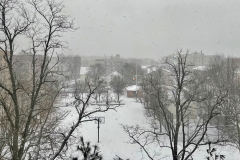 Winter Blizzard Bronx February 2021 from my Window and from the street.