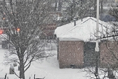 Winter Blizzard Bronx February 2021 from my Window and from the street.