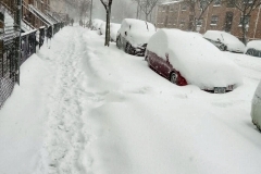 Winter Blizzard Bronx February 2021 from my Window and from the street.