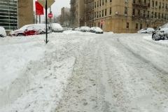 Winter Blizzard Bronx February 2021 from my Window and from the street.