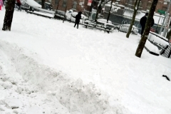 Winter Blizzard Bronx February 2021 from my Window and from the street.