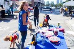 Dogs and their people partake in the Woof-Stock “Paw-ty” in Edgewater, NJ. A dog parade and raffle as well as a “red-carpet’ paw-parazzi took place where not all dogs competed, nor did all dogs win but they most definitely had paw-fect time. (C) Bianca Otero. October 2, 2021