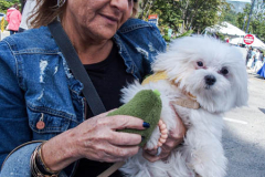 Dogs and their people partake in the Woof-Stock “Paw-ty” in Edgewater, NJ. A dog parade and raffle as well as a “red-carpet’ paw-parazzi took place where not all dogs competed, nor did all dogs win but they most definitely had paw-fect time. (C) Bianca Otero. October 2, 2021