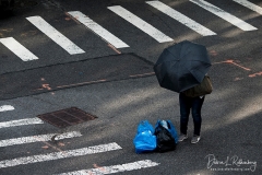 Photographed with the Nikon Z6 and 24-70mm f4 "kit" lens and 70-200mm f2.8 lens with the FTZ Adapter