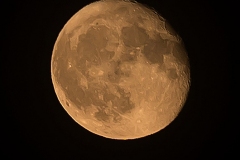 Photographed with the Nikon Z6 and 24-70mm f4 "kit" lens and 70-200mm f2.8 lens with the FTZ Adapter