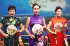 New York,  Zhanjiang Association of America
holds its 3rd Anniversary gala and ceremony  to recognize state and local politicians who help the Asian community.