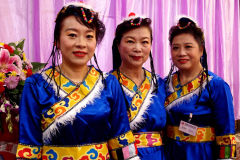 New York,  Zhanjiang Association of America
holds its 3rd Anniversary gala and ceremony  to recognize state and local politicians who help the Asian community.