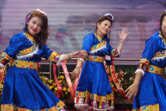 New York,  Zhanjiang Association of America
holds its 3rd Anniversary gala and ceremony  to recognize state and local politicians who help the Asian community.