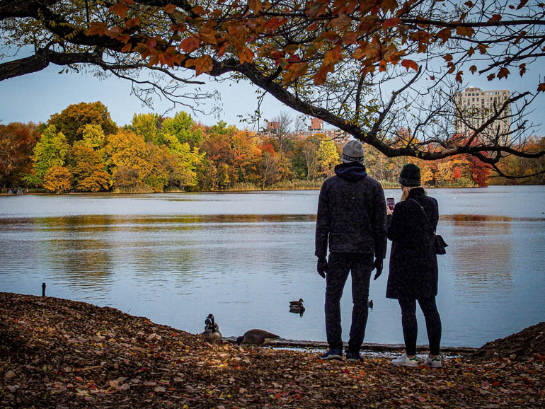 Autumn in Prospect Park-Brooklyn