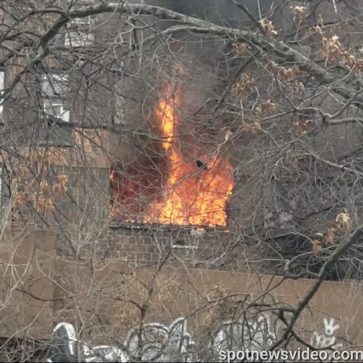 Fire in the Bronx