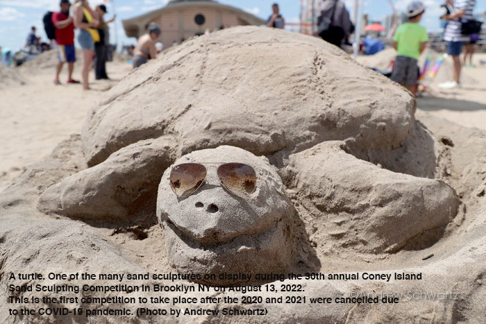 30th Annual Coney Island Sand Sculpture Contest